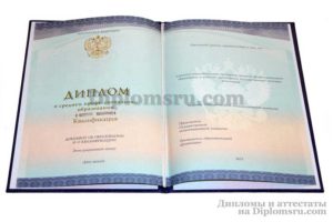купить диплом дизайнера техникума и колледжа