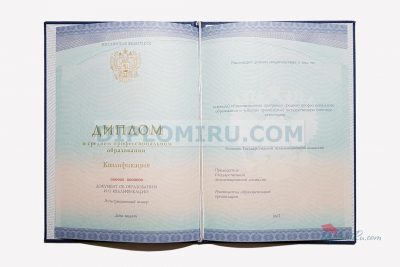 диплом ссуза 2014-2026